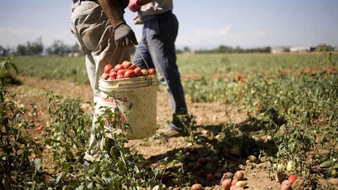 Firenze, presidio davanti alla Prefettura per dire “Stop al caporalato in agricoltura”