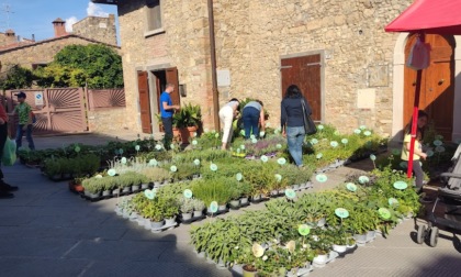 Primavera di emozioni con “Barberino in fiore”