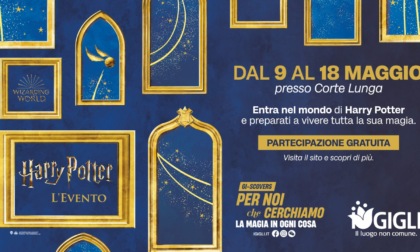 Harry Potter al Centro Commerciale I Gigli