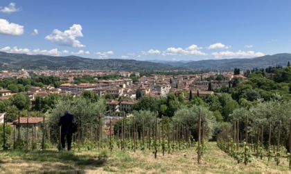 Firenze, Vigna Michelangelo compie un anno