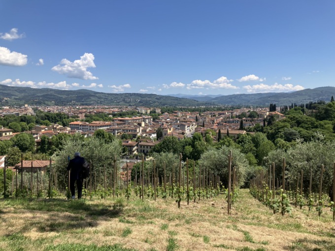 Firenze, Vigna Michelangelo compie un anno