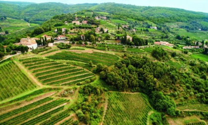 Il vino del borgo di Lamole nel Chianti ispira un profumo