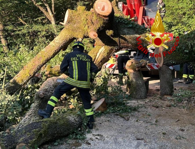 Crolla un grosso albero nella notte, paura a Lastra a Signa