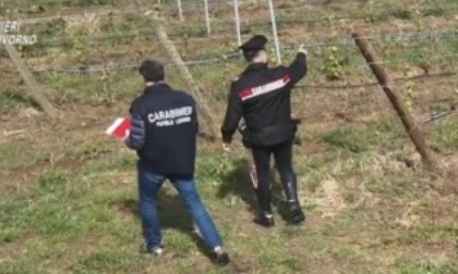 Pistoia, spari nel vivaio: zio fa fuoco contro il nipote di 26 anni