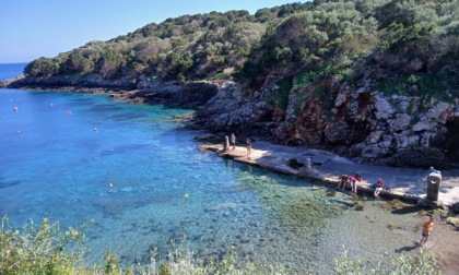 Giannutri, isola senza seggio. Nave per votare al Giglio ma salgono solo in due