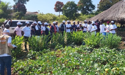 Il Dipartimento di Agraria dell’Università di Firenze vola in Angola