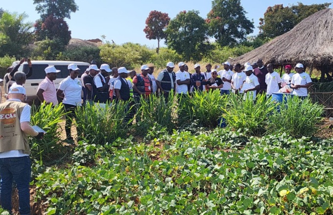 Il Dipartimento di Agraria dell’Università di Firenze vola in Angola