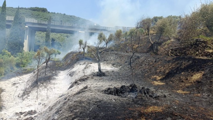 Massarosa, tornano le fiamme: incendio nella stessa zona del rogo del 2022. Chiusa la Bretella