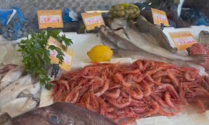 Pesca amica, il miglio zero contro il pescato lontano