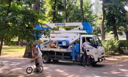 Firenze, un altro ramo cade alle Cascine