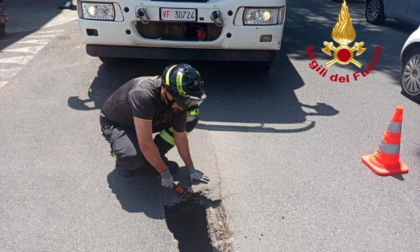 Firenze, voragine sotto la strada, chiuso tratto Lungo Affrico
