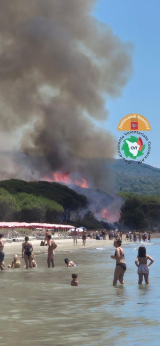 Incendio in pineta sul litorale di Scarlino