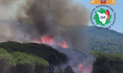Incendio in pineta sul litorale di Scarlino