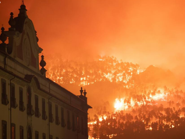 Rogo sul Monte Serra, definitiva la condanna per il volontario responsabile