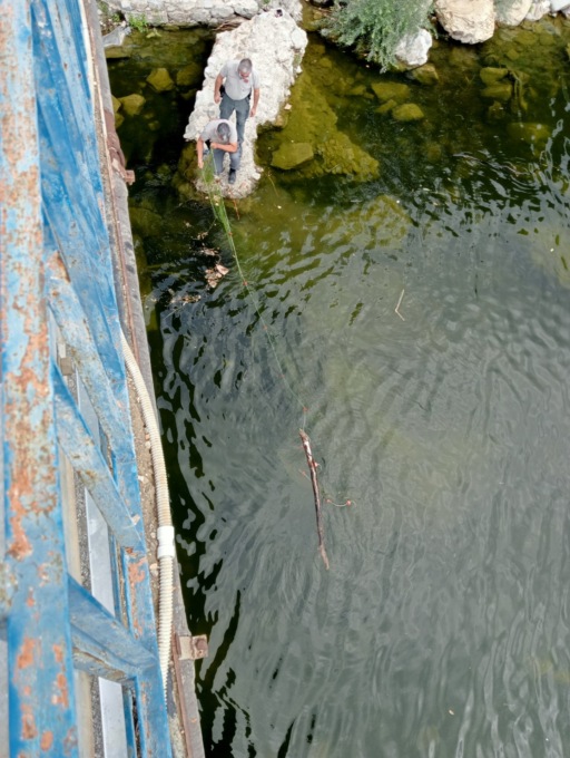 Prato, controlli sul Bisenzio: sanzioni e sequestri contro la pesca illegale
