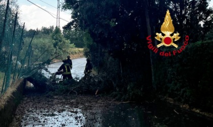 Maltempo, forti temporali. Danni a Firenze e in Valdelsa