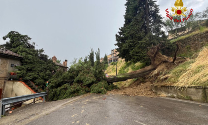 Maltempo, cipresso secolare su una casa a San Gimignano