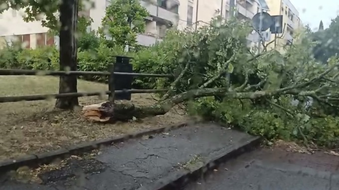 Ondata di maltempo: temporale su Firenze. Grandine e alberi caduti