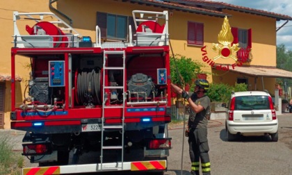 Incendio a Signa, in fiamme sterpaglie e uliveta. Sul posto i vigili del fuoco