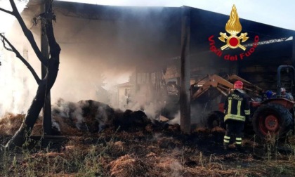 Fiamme alle porte di Firenze: vasto incendio di rotoballe