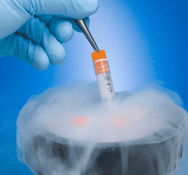 Crioconservazione degli ovociti gratuita per i pazienti oncologici toscani