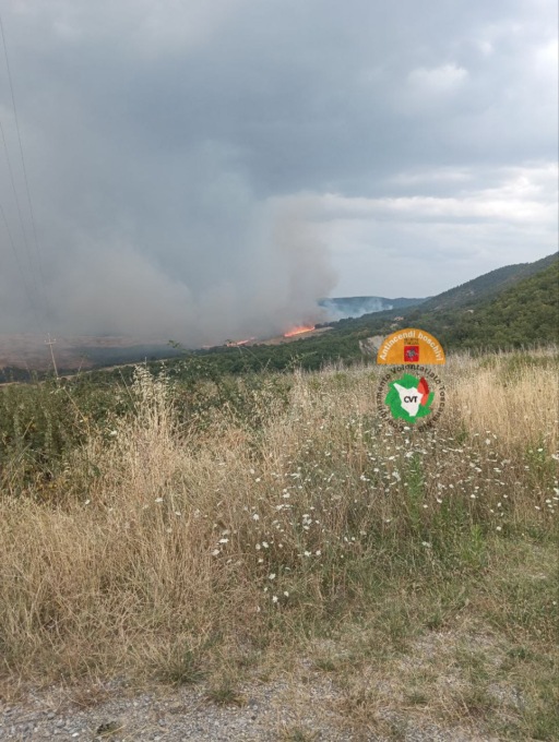 Fulmine innesca rogo boschivo nel Senese
