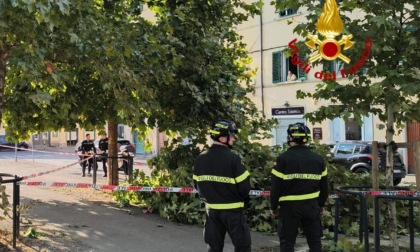 Ferita dal ramo caduto, le sarà amputato un alluce