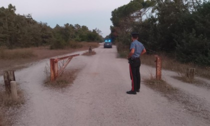 Torre del Lago, trovato cadavere nella pineta