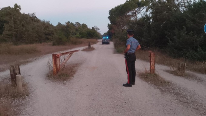 Torre del Lago, trovato cadavere nella pineta