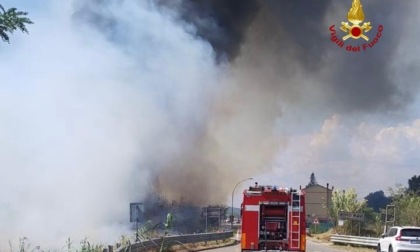 Incendio ad "alta tensione" in un uliveto a Massarosa