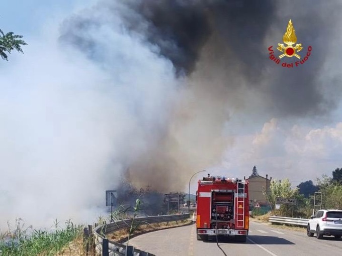 Incendio ad “alta tensione” in un uliveto a Massarosa