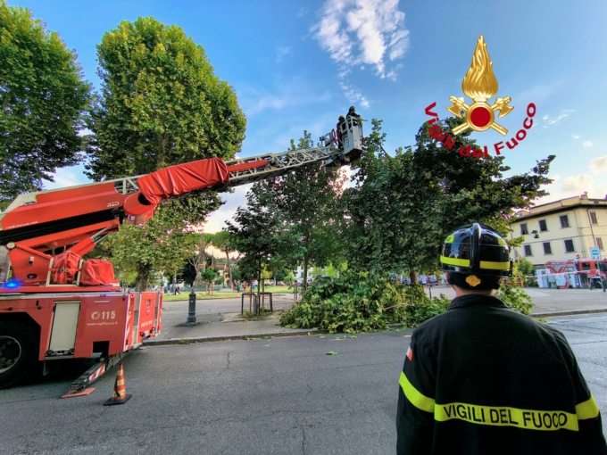 Ramo di albero cade su una passante in piazza Acciaioli