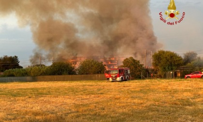 Vasto incendio lungo la linea ferroviaria, salve le case