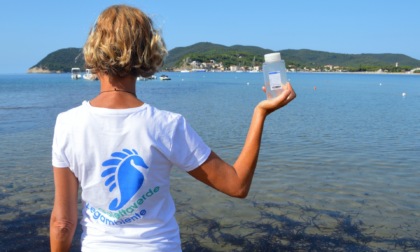 Mare toscano, Goletta Verde: "Il 60% dei prelievi oltre i limiti di legge"