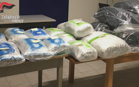 Droga international, smantellati tre gruppi criminali