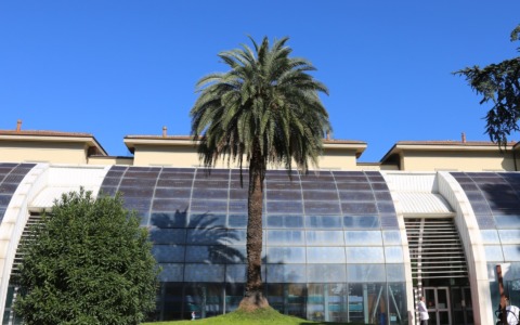 Due bimbe da Gaza all’ospedale Meyer