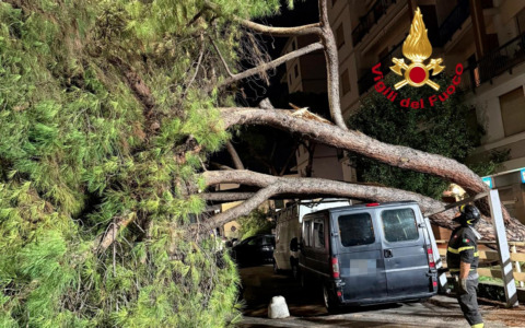 Maltempo a Firenze, un pino cade su un furgone parcheggiato