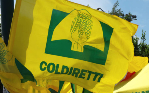 Coldiretti, Oscar Green anche a Massa