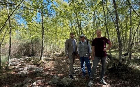 Tombe etrusche ed una stele riemergono dal passato