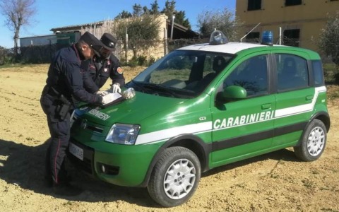 Abusi edilizi, sigilli a 2 immobili a Capalbio