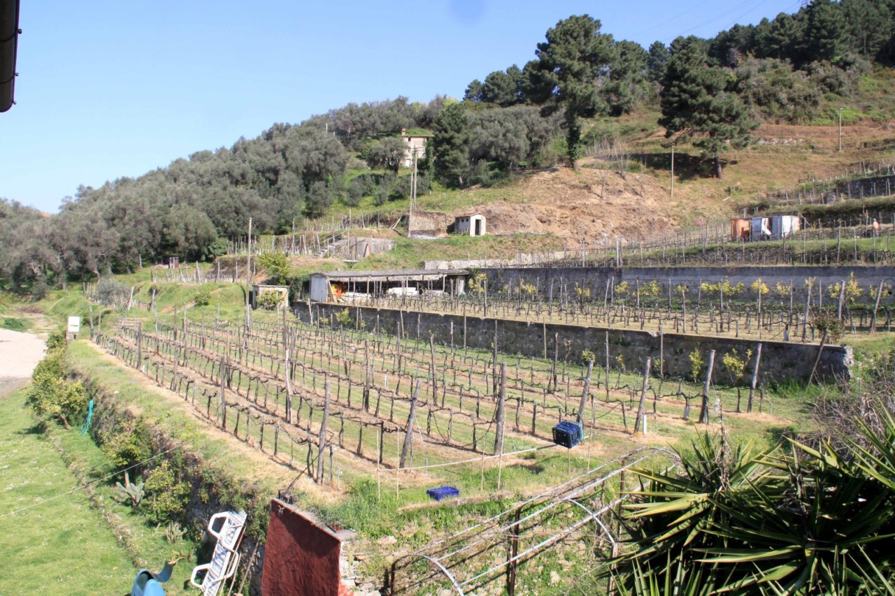 Il “Pietrarosata” fra le eccellenze italiane del vino