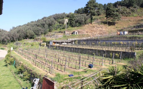 Il “Pietrarosata” fra le eccellenze italiane del vino
