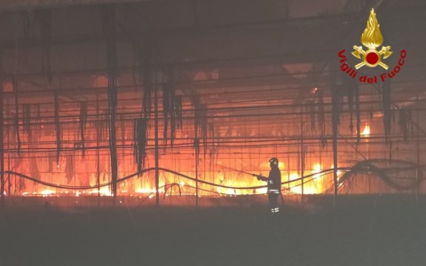Viareggio: maxi-incendio alla serra. Distrutti 14.000 metri quadrati di copertura