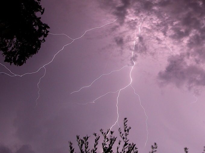 Ucciso da fulmine che rimbalza tra un filo della biancheria e la ciotola del cane
