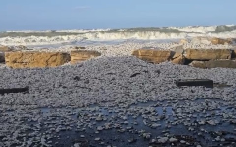 Notte di vento e mareggiate sulla costa toscana: raffiche fino a 130 km/h e onde di cinque metri dalla Versilia a Livorno