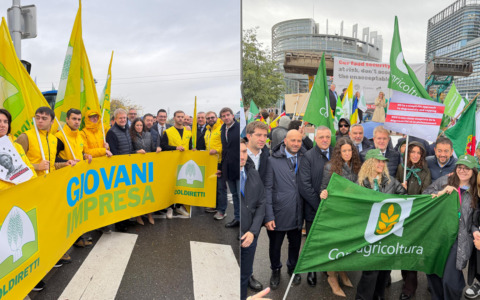 Agricoltura, delegazione FdI-ECR in presidio a Strasburgo