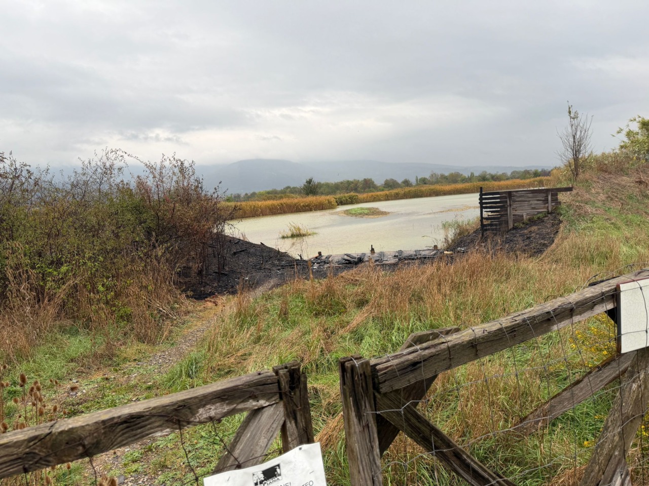 Quei misteriosi incendi nel Parco della Piana: “15 in 5 mesi”