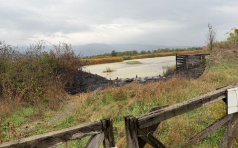 Quei misteriosi incendi nel Parco della Piana: “15 in 5 mesi”