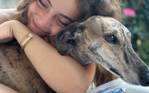 Primo torneo “Un levriero per la vita”, il padel a favore degli amici a quattro zampe