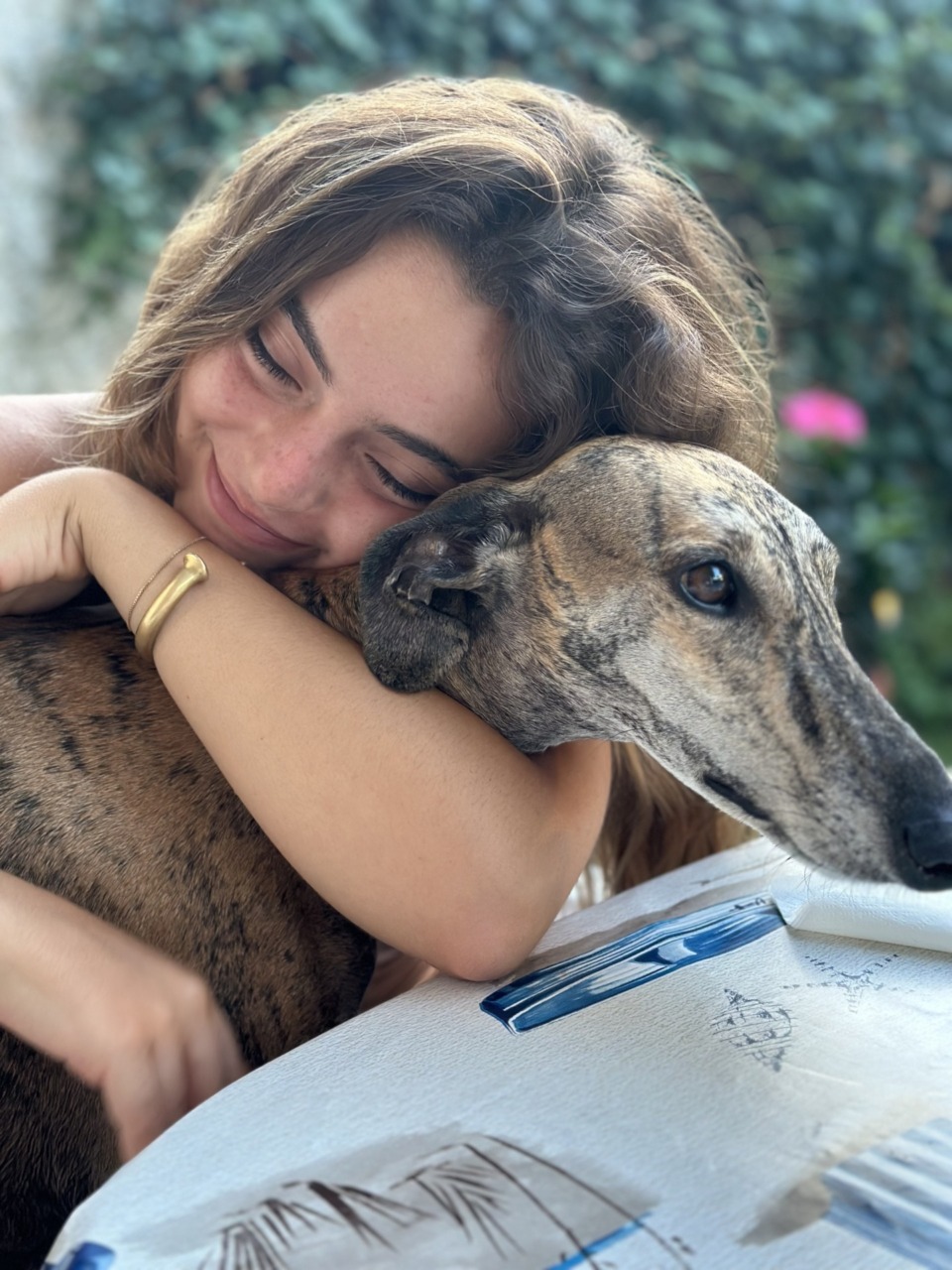 Primo torneo “Un levriero per la vita”, il padel a favore degli amici a quattro zampe